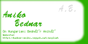 aniko bednar business card